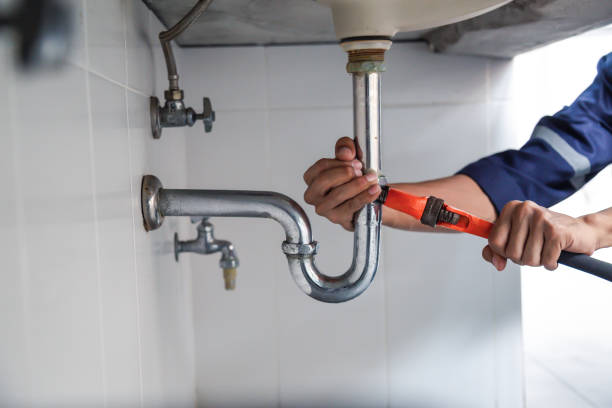 Best Residential Plumbing Services  in Del Mar, CA